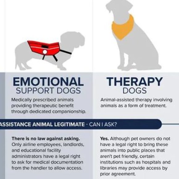 SERCOVE Airline Approved Collapsible Medium Sized Dog/Cat Carrier ( 20 Lbs.max) - Picture 6 of 17